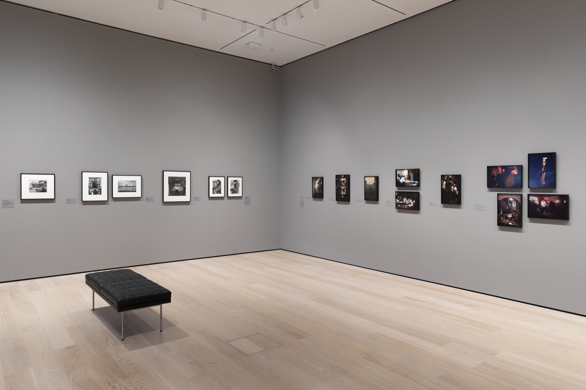 Installation view of the gallery 