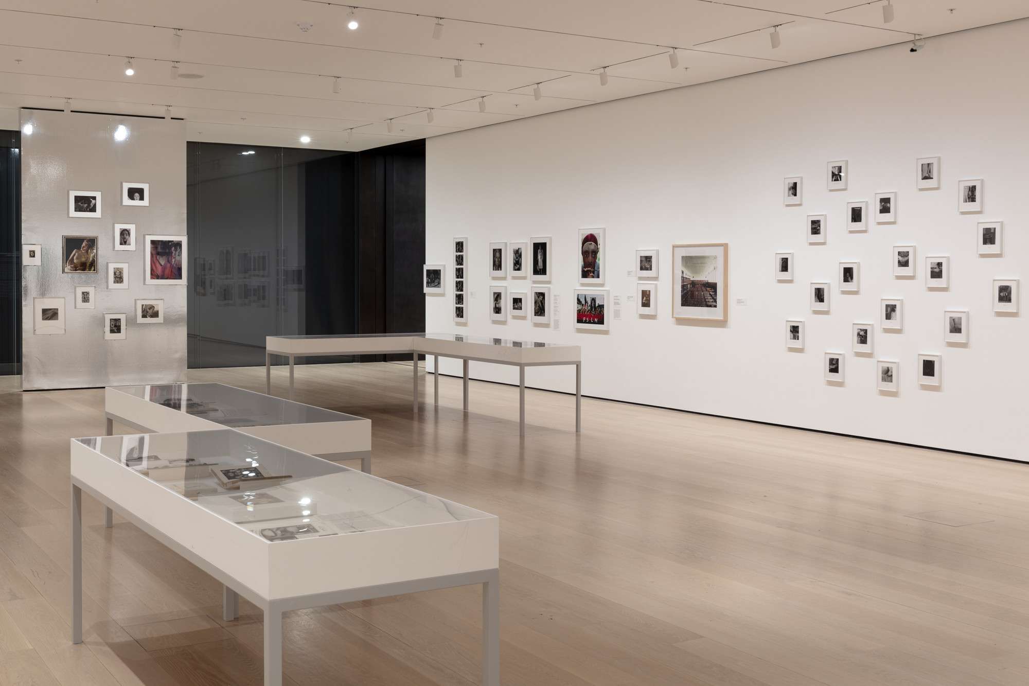 Installation view of the exhibition 