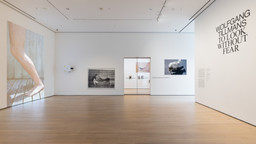 Wolfgang Tillmans: To look without fear | MoMA