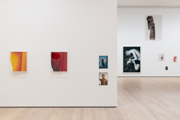 Wolfgang Tillmans: To look without fear | MoMA