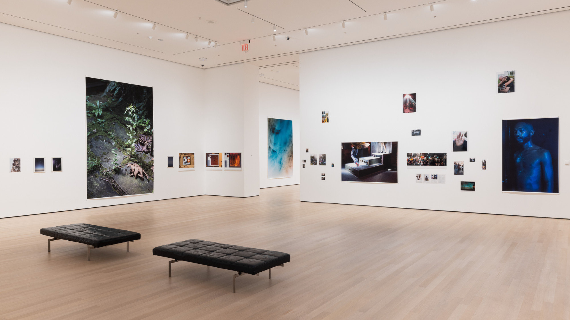 Installation view of the exhibition 