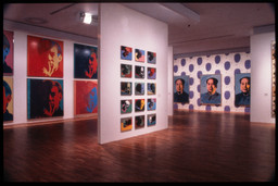 Andy Warhol: A Retrospective | MoMA