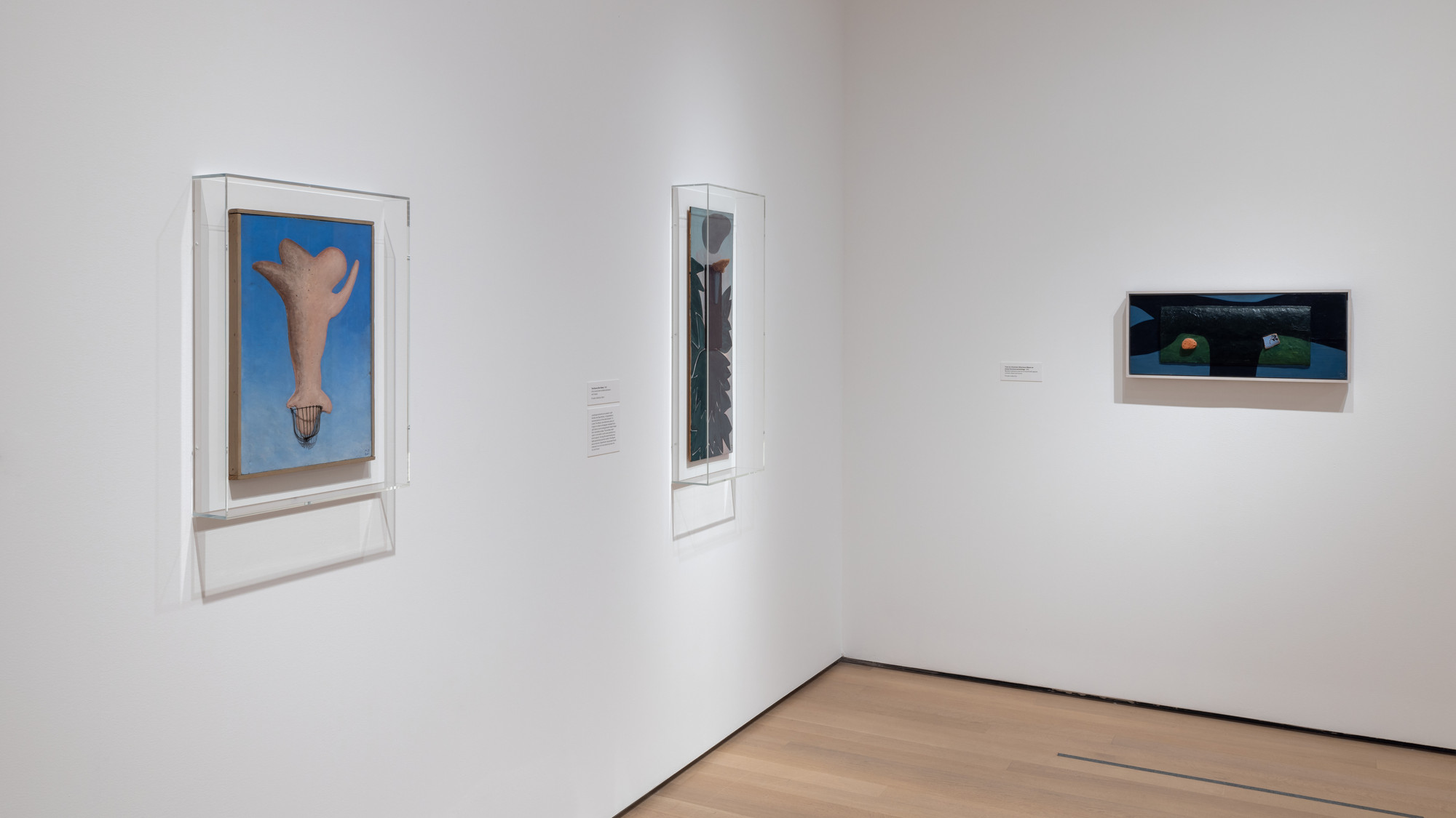 Installation View Of The Exhibition "Meret Oppenheim: My Exhibition" | MoMA