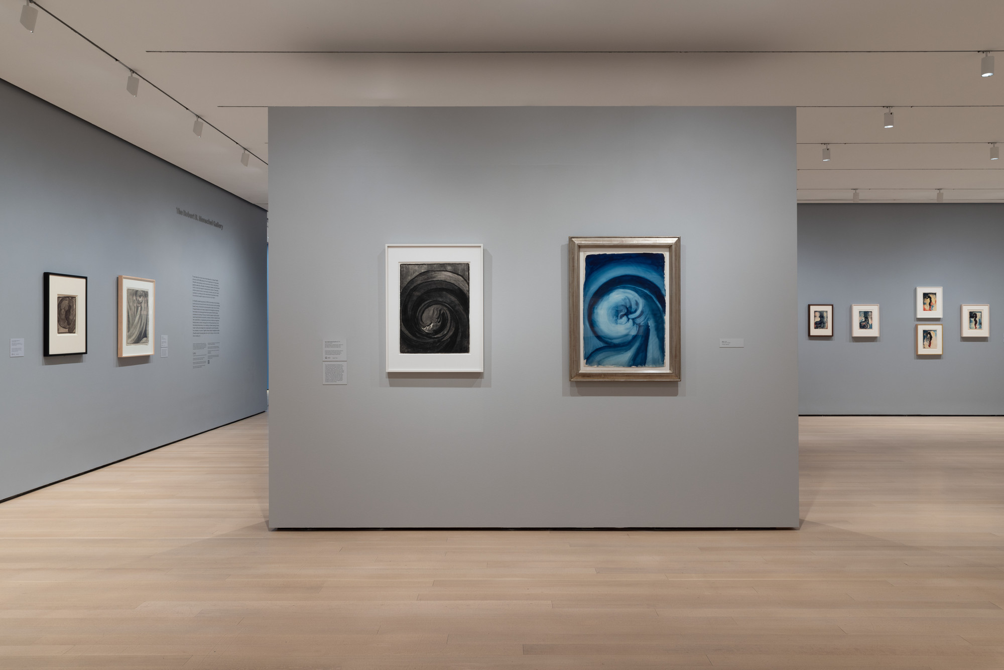Installation view of the exhibition O’Keeffe To See Takes