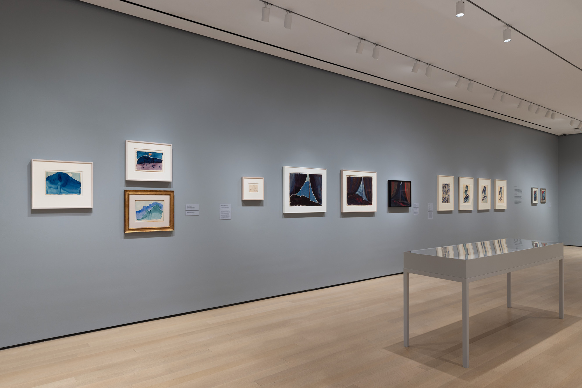 Installation View Of The Exhibition "Georgia O’Keeffe: To See Takes ...