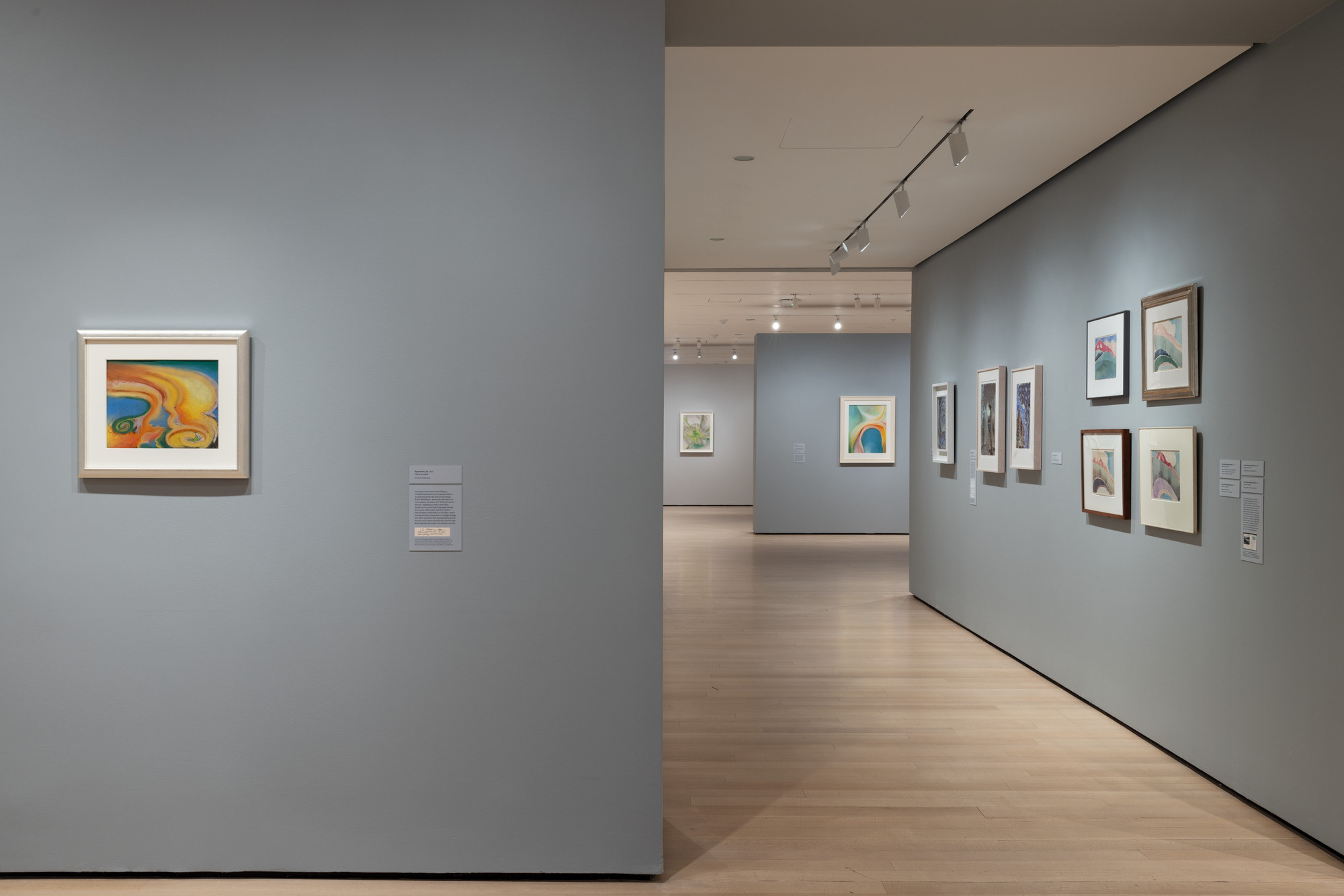 Installation View Of The Exhibition "Georgia O’Keeffe: To See Takes ...