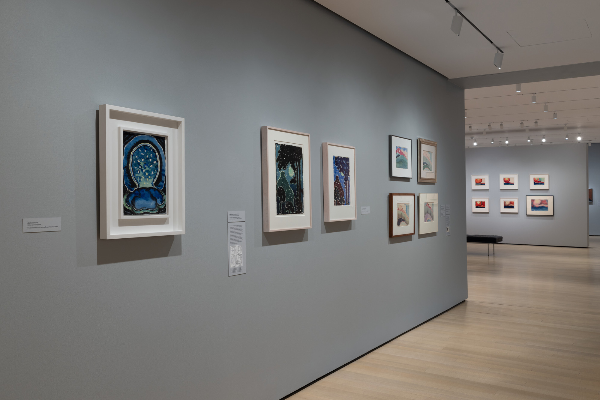 Installation view of the exhibition O’Keeffe To See Takes