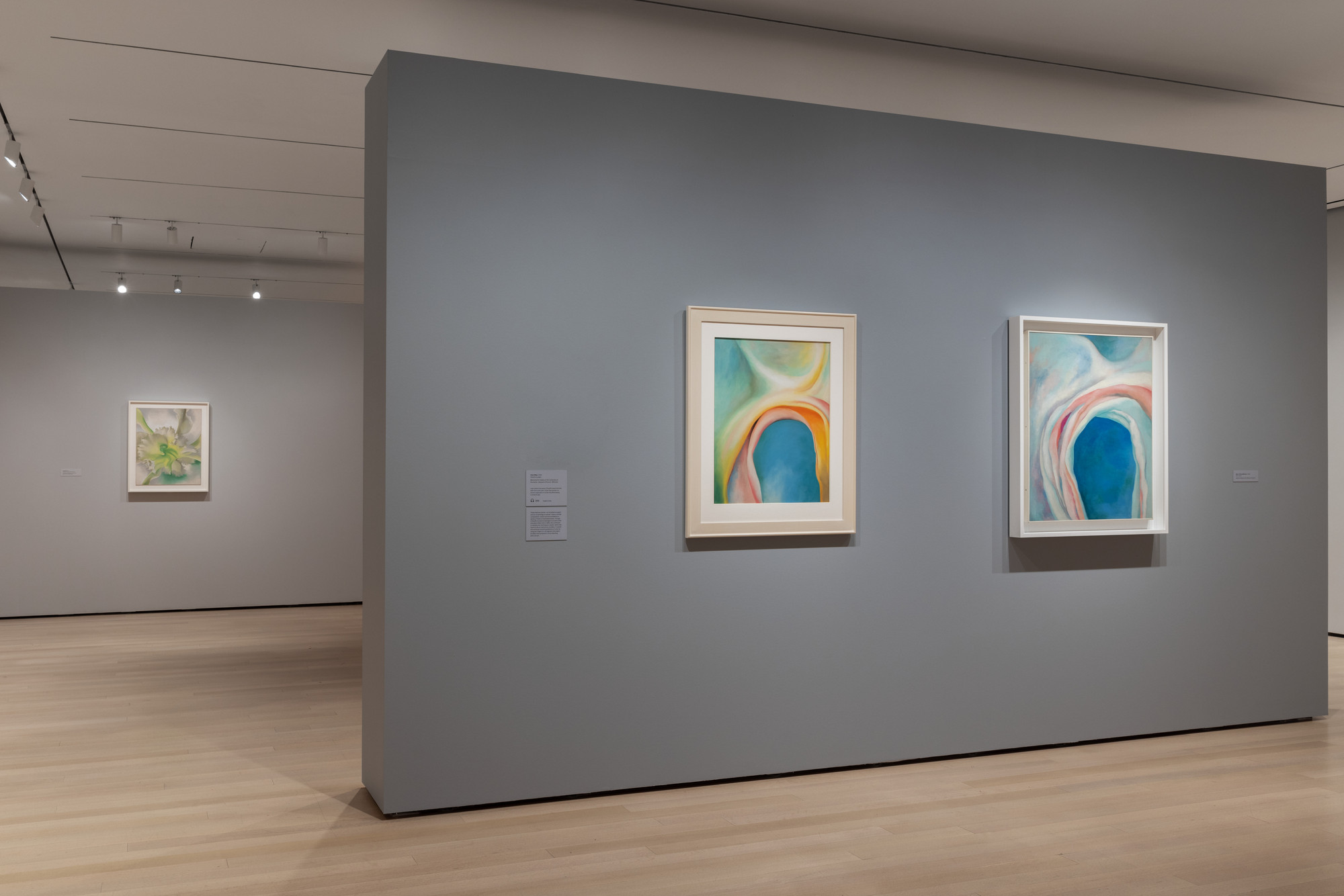 Installation view of the exhibition O’Keeffe To See Takes