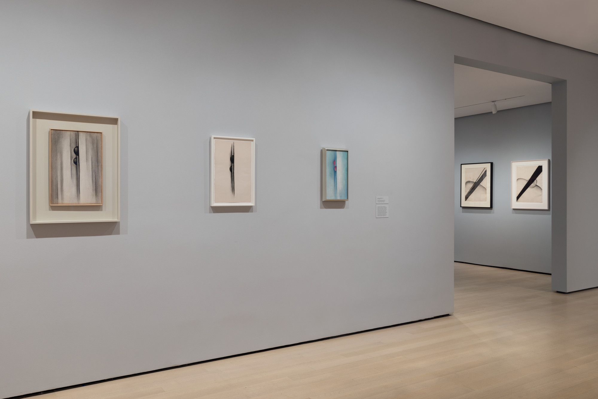 Installation View Of The Exhibition "Georgia O’Keeffe: To See Takes ...