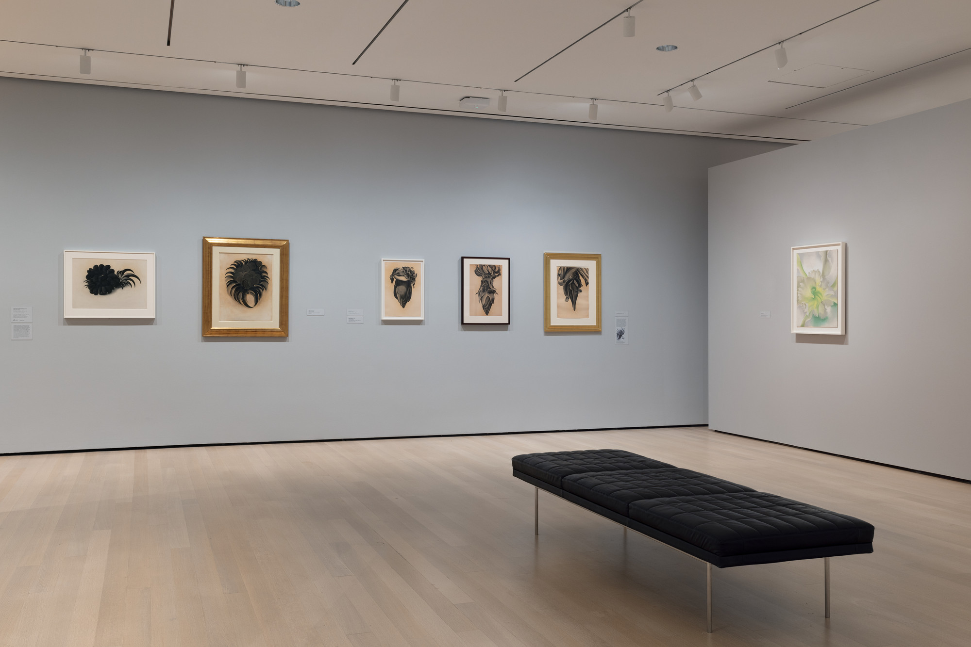 Installation View Of The Exhibition "Georgia O’Keeffe: To See Takes ...