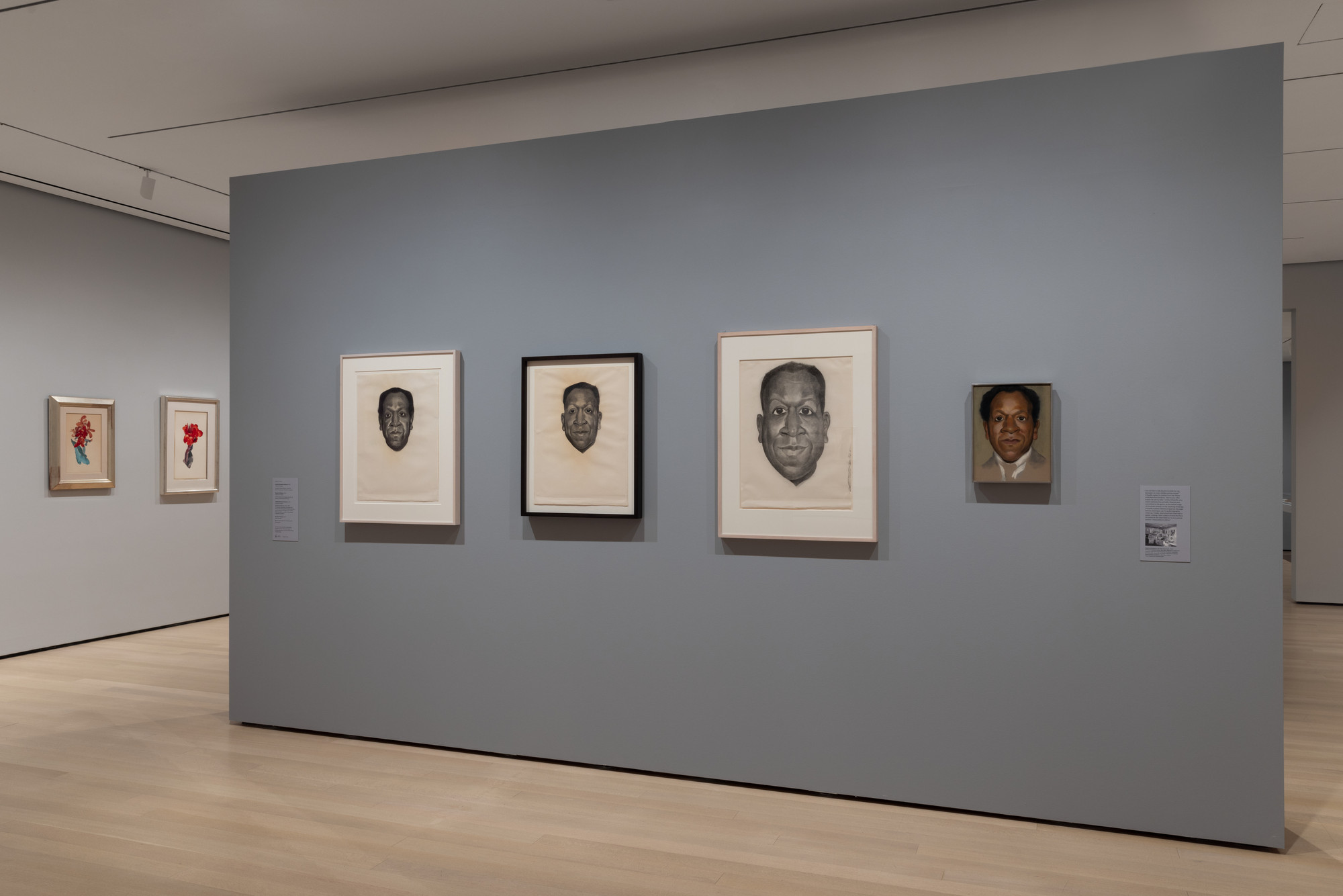 Installation View Of The Exhibition "Georgia O’Keeffe: To See Takes ...