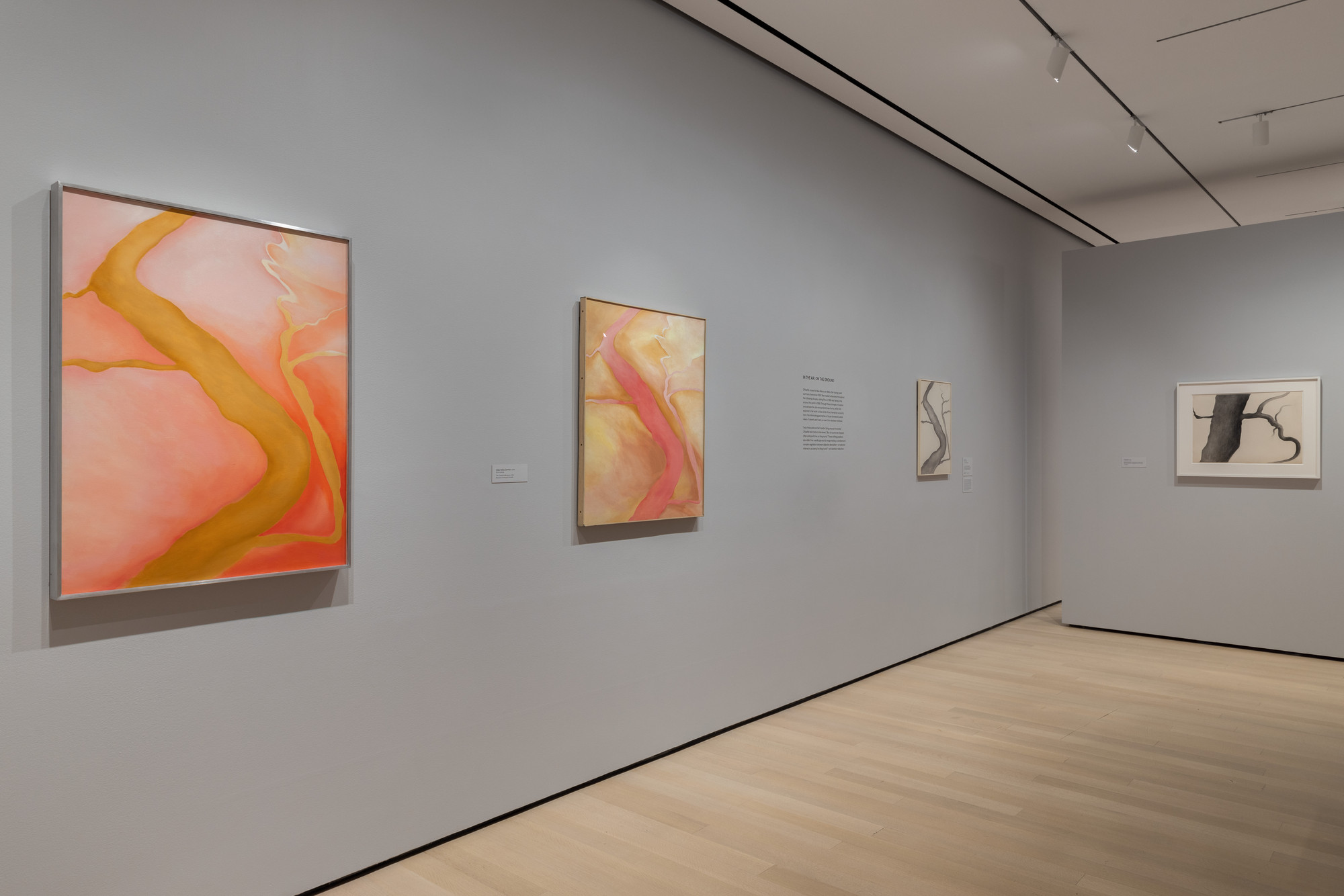 Installation view of the exhibition O’Keeffe To See Takes