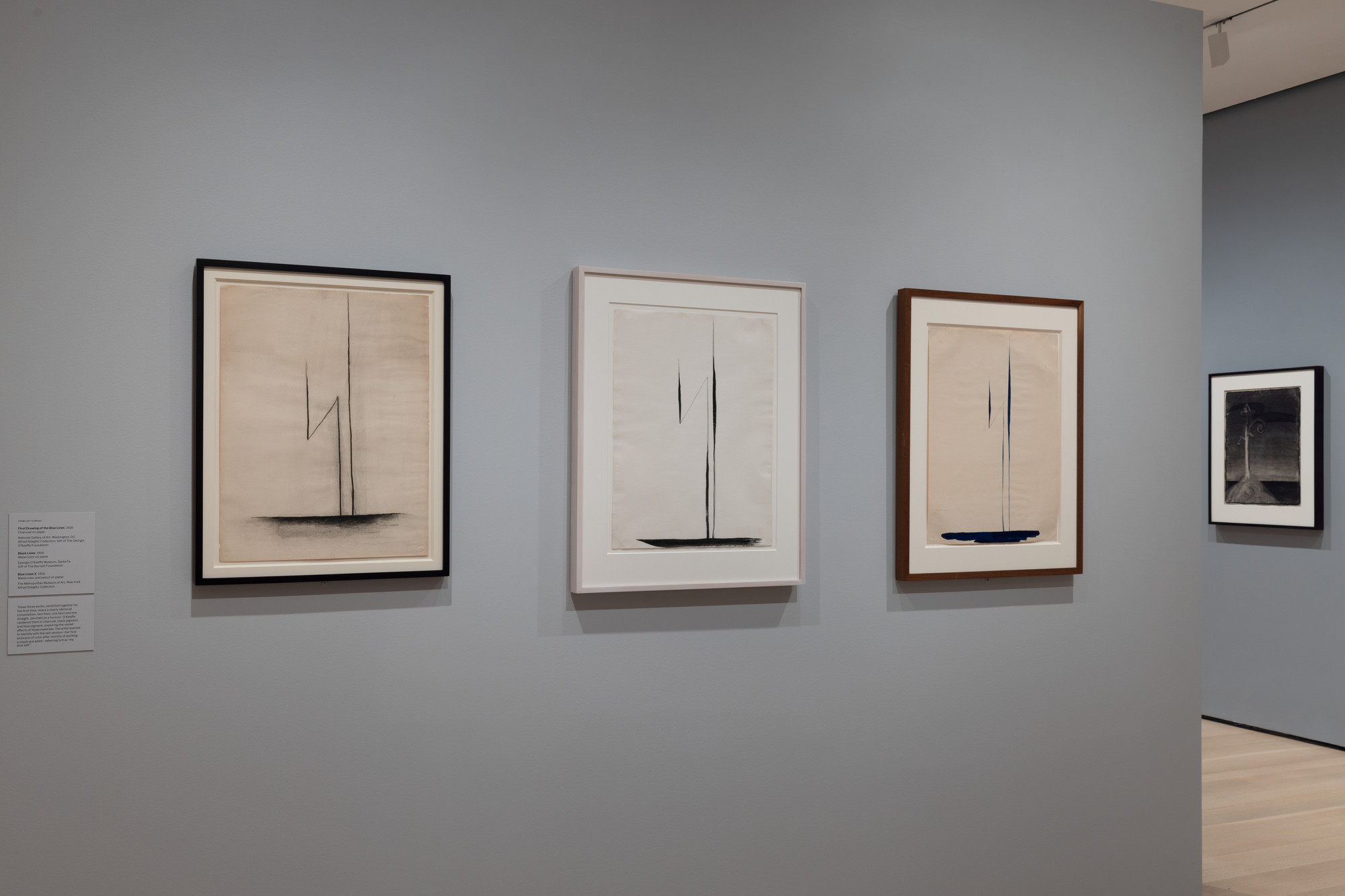 Installation View Of The Exhibition "Georgia O’Keeffe: To See Takes ...