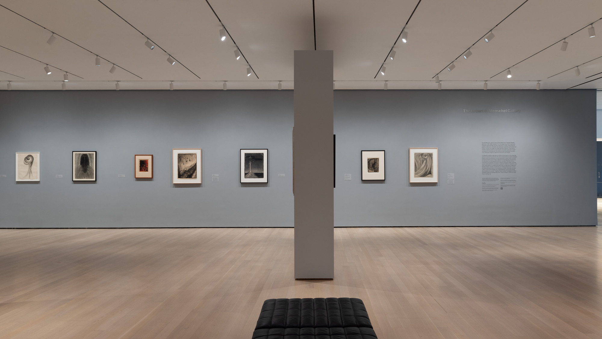 Installation View Of The Exhibition "Georgia O’Keeffe: To See Takes ...