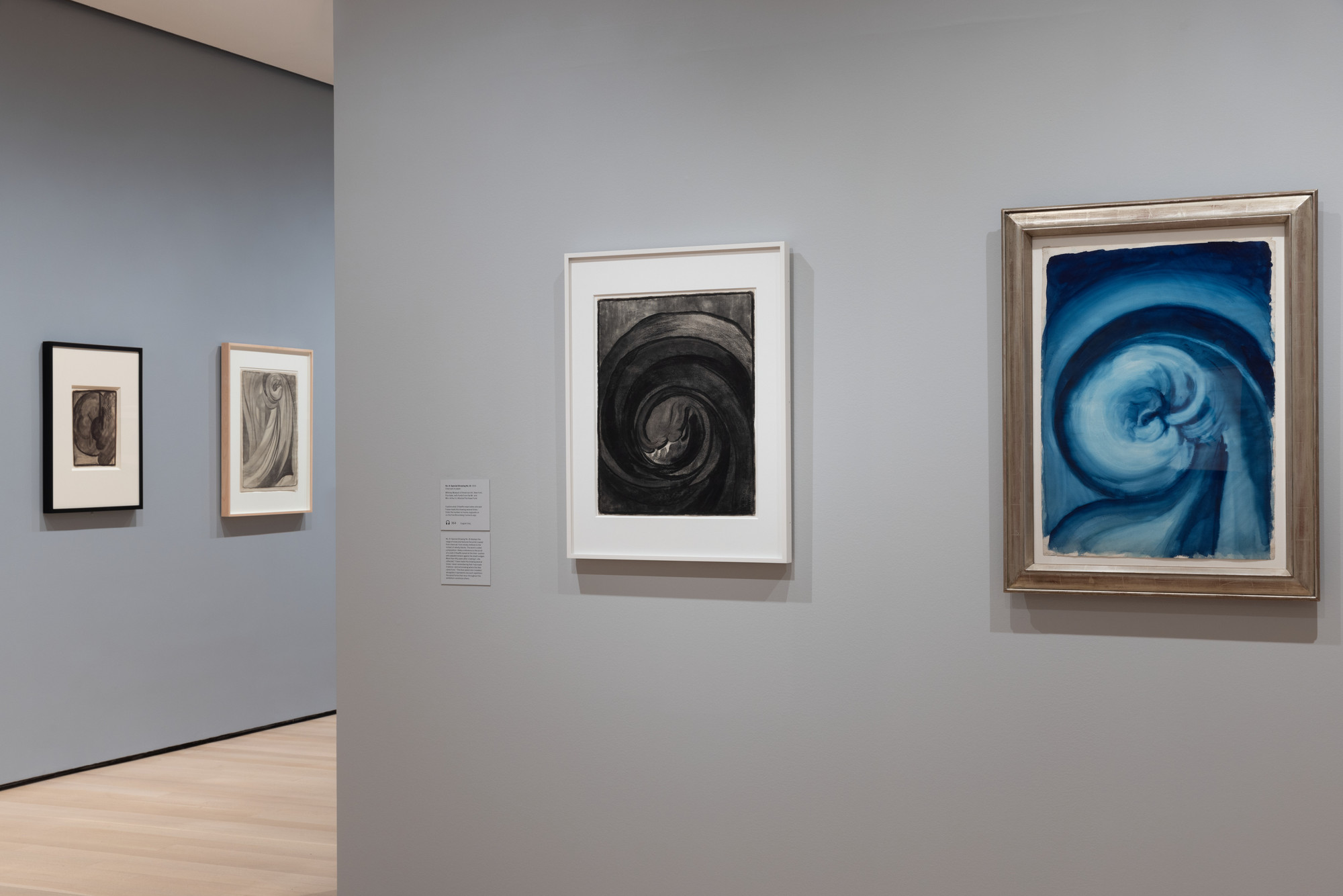 Installation view of the exhibition O’Keeffe To See Takes