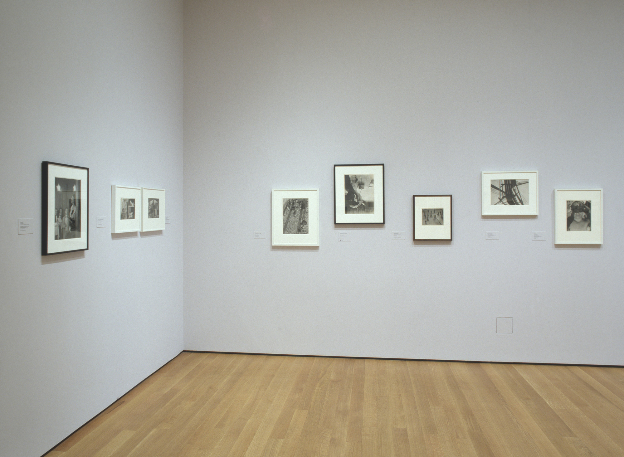 Installation View Of The Exhibition 