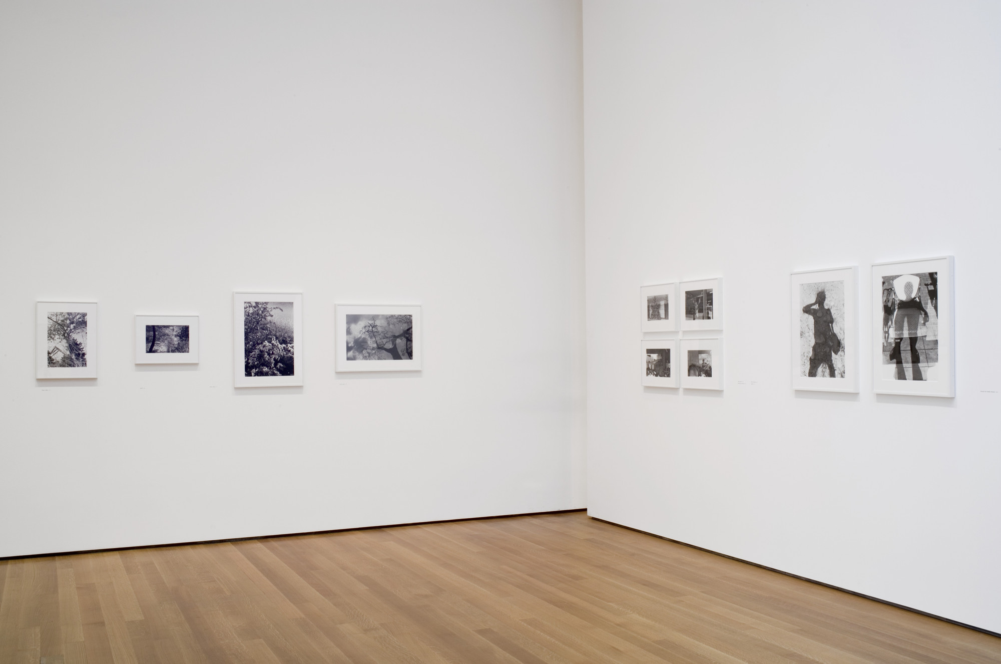 Installation view of the exhibition 