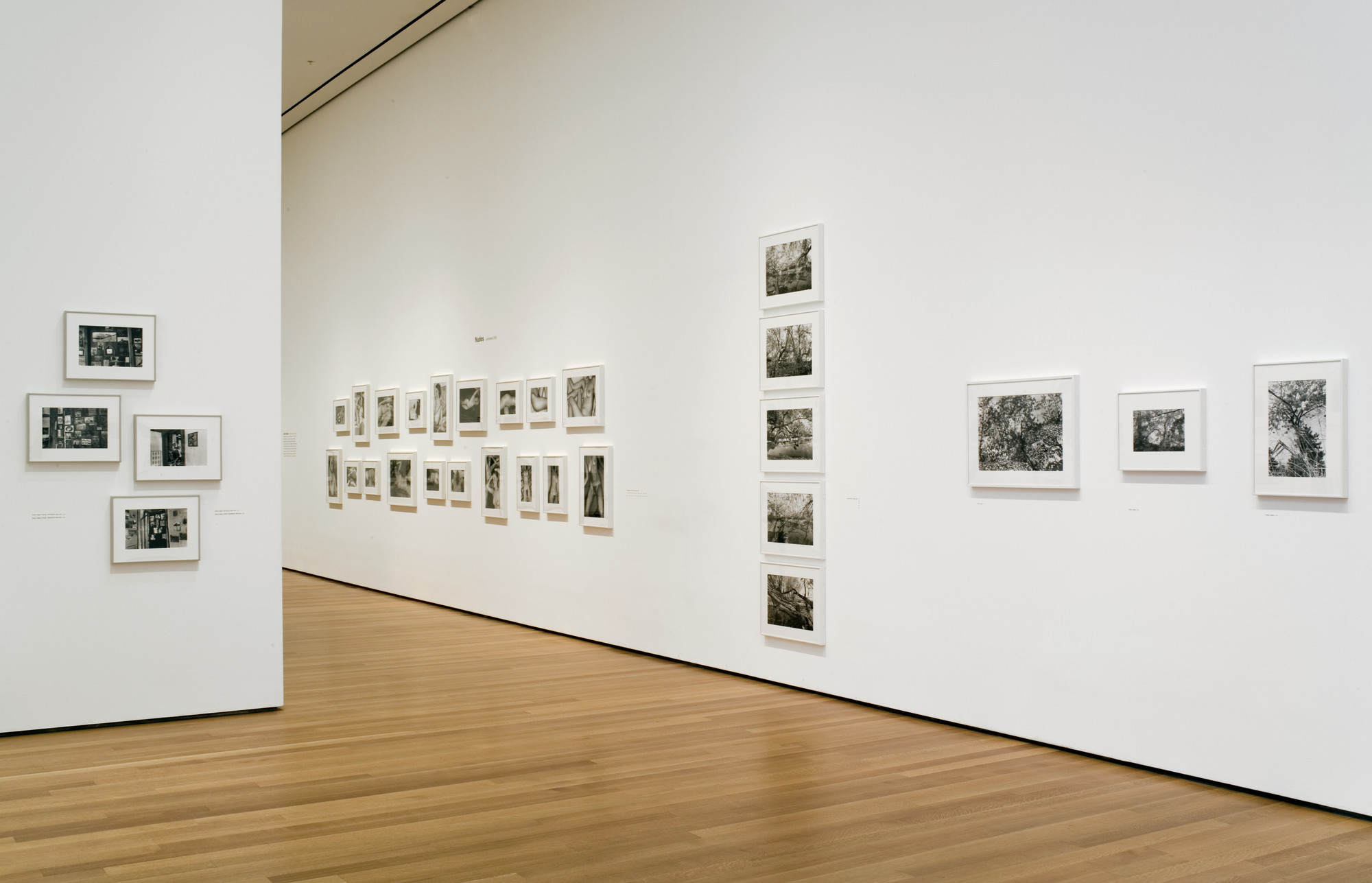 Installation view of the exhibition 