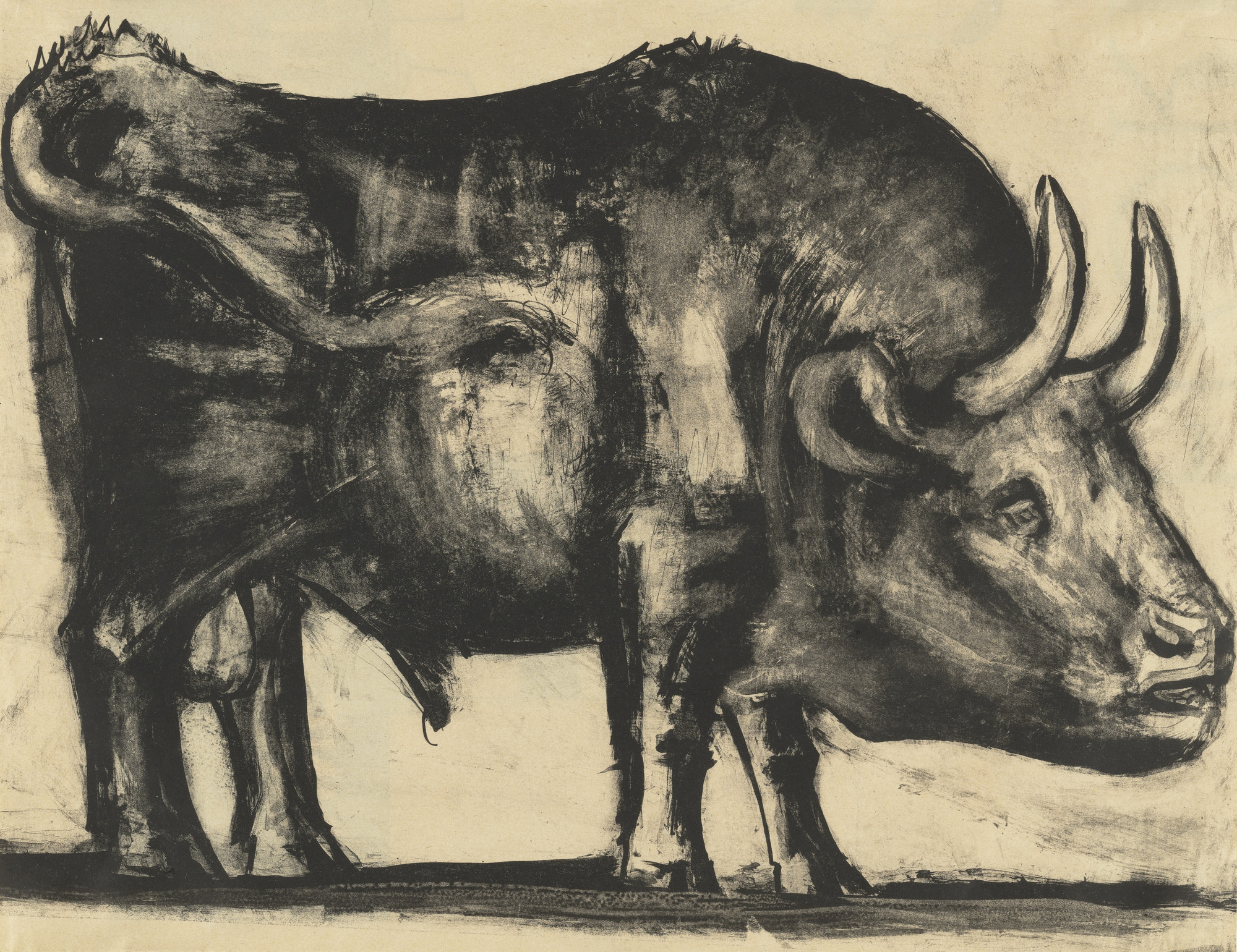 Pablo Picasso The Bull Le Taureau State Iii 1945 Moma