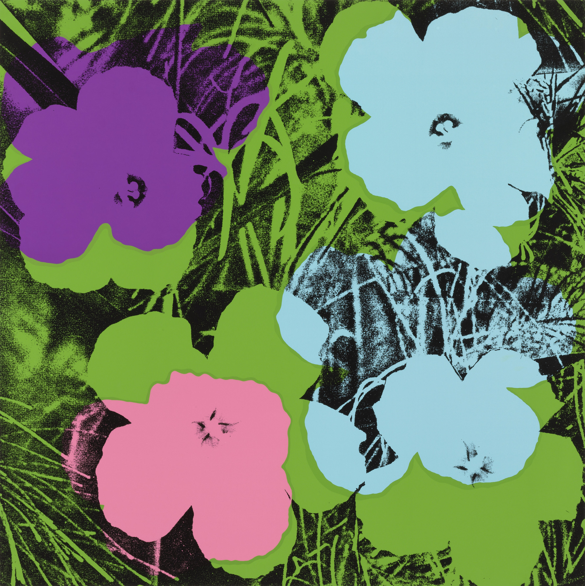 Andy Warhol. Untitled from Flowers. 1970 | MoMA