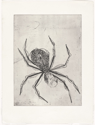  Louise Bourgeois: The Spider and the Tapestries: 9783775739979:  Bourgeois, Louise: Books