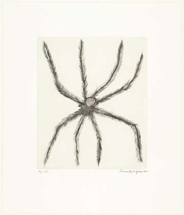 Louise Bourgeois, Hairy Spider