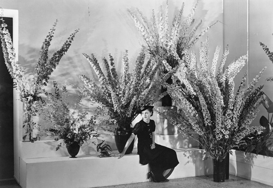 Installation view of the exhibition Edward Steichen's Delphiniums. The Museum of Modern Art, June 24, 1936–July 1, 1936. The Museum of Modern Art Archives