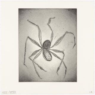 Untitled, plate 8, from the illustrated book, Ode à ma mère, 1995. Drypoint. Plate: 9 3/8 x 7 7/16” (23.8 x 18.9 cm). © 2013 Louise Bourgeois Trust.  