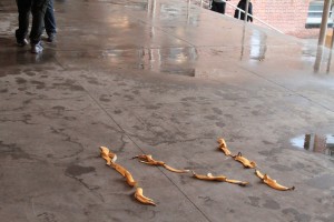 Betzy's banana Z, as arranged on the ground of the MoMA PS1 steps