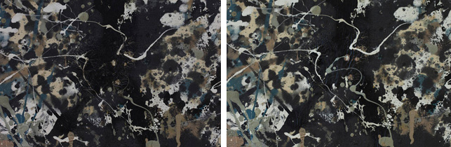 Pollock conservation detail 3