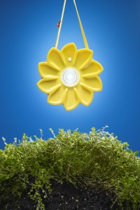 The Little Sun is featured on the cover of MoMA Design Store's spring catalog
