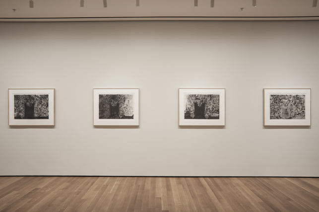 Installation view of Jasper Johns: Regrets, The Museum of Modern Art, New York, March 15 - September 1, 2014. Photo: John Wronn.