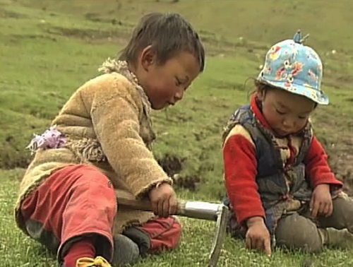Yartsa Rinpoche. 2013. China/France. Directed by Dorje Tsering Chenaktsang. 101 min. Courtesy of Chenaktsang and Trace Foundation