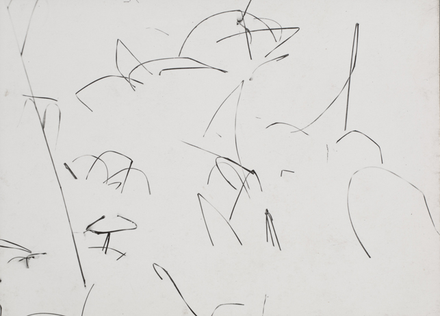 Harry Callahan.  Weeds in Snow, Detroit. 1943. Gelatin silver print, 3 1/4 x 4 7/16" (8.2 x 11.3 cm). Gift of the photographer. © 2015 The Estate of Harry Callahan