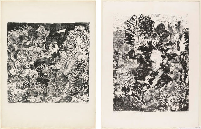 From left: Jean Dubuffet. Branches with Birds (Feuillages à l'oiseau). 1953. Lithograph, sheet: 29 1/2 x 22 3/16" (75 x 56.3 cm). The Museum of Modern Art, New York. Gift of Mr. and Mrs. Ralph F. Colin, 1965. Photograph by Peter Butler. © 2015 Artists Rights Society (ARS), New York/ADAGP, Paris; Jean Dubuffet. Landscape with Foliage (Paysage aux frondaisons). 1953. Lithograph, sheet: 25 3/4 x 19 11/16" (65.4 x 50 cm). The Museum of Modern Art, New York. Gift of Mr. and Mrs. Ralph F. Colin, 1965. Photograph by John Wronn. © 2015 Artists Rights Society (ARS), New York/ADAGP, Paris