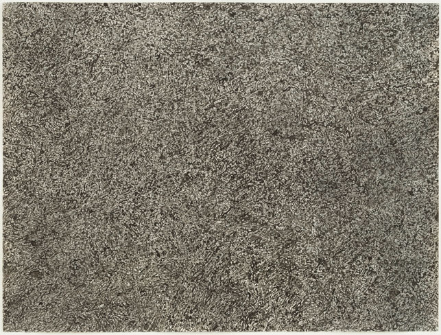 Jean Dubuffet. Epidermis (Épiderme). 1960. Ink on paper, 19 7/8 x 26 1/2" (50.5 x 67.2 cm). The Museum of Modern Art, New York. Gift of the artist in honor of Mr. and Mrs. Ralph F. Colin, 1968. Photograph by John Wronn. © 2015 Artists Rights Society (ARS), New York/ADAGP, Paris