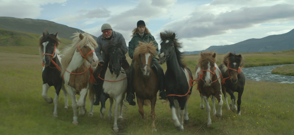 Of Horses and Men. 2013. Iceland. Directed by Benedikt Erlingsson. Courtesy Music Box Films