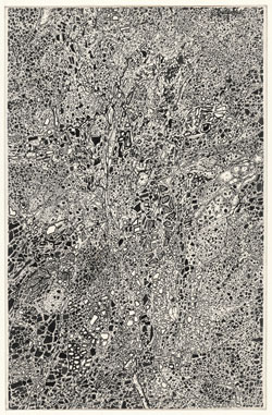 Jean Dubuffet. Stone Transcription (Transcription aux pierres). 1958. Ink on paper, mounted on board, 9 1/8 x 14 1/4" (23.2 x 36.2 cm). The Museum of Modern Art, New York. The Joan and Lester Avnet Collection, 1978. Photograph by Peter Butler. © 2015 Artists Rights Society (ARS), New York/ADAGP, Paris