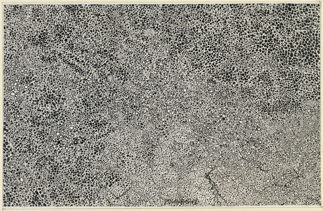 Jean Dubuffet. Textural Transcription I (Transcription texturologique I). 1958. Ink on paper, mounted on board, 9 x 14 1/4" (22.9 x 36.2 cm). The Museum of Modern Art, New York. The Joan and Lester Avnet Collection, 1978. Photograph by John Wronn