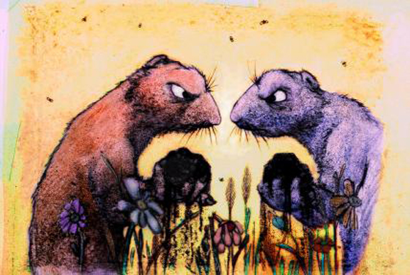 When the Dust Settles. 1998. Canada. Directed by Louise Johnson