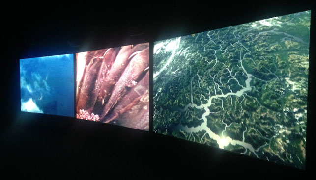 John Akomfrah. Vertigo Sea. 2015. Three-channel, HD video installation, 38 min. Installation view, Venice Biennale, May 9–November 22, 2015. Photo: Zalika Azim