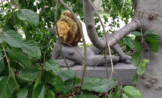 Installation is complete and the bees begin to acclimatize to their new home. Shown: Pierre Huyghe. Untilled (Liegender Frauenakt) [Reclining female nude]. 2012. Concrete with beehive structure, wax, and live bee colony. The Museum of Modern Art, New York. Purchase. © 2015 Pierre Huyghe. Photo: Margaret Ewing