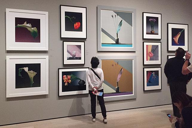 Installation view of Robert Mapplethorpe: The Perfect Medium, Los Angeles County Museum of Art, March 20–July 31, 2016. Photo: Annikka Olsen