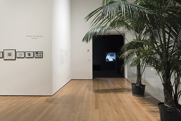 Installation view of Marcel Broodthaers: A Retrospective, The Museum of Modern Art, New York, February 14–May 15, 2016. © 2016 The Museum of Modern Art. Photo: Martin Seck
