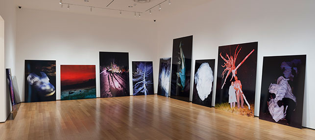 Lieko Shiga. Rasen Kaigan. 2009–12. Chromogenic color prints. Installation view, Ocean of Images: New Photography 2015, The Museum of Modern Art, November 7, 2015–March 20, 2016. © 2016 The Museum of Modern Art. Photo: Thomas Griesel