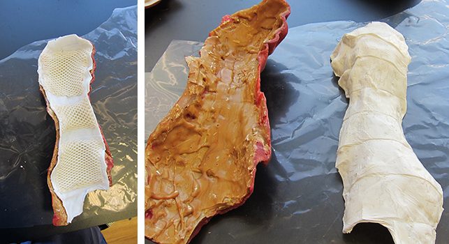 Left: A test application of the armature system inside the wax leg. Photo: Megan Randall; Right: The armature test removed from the leg